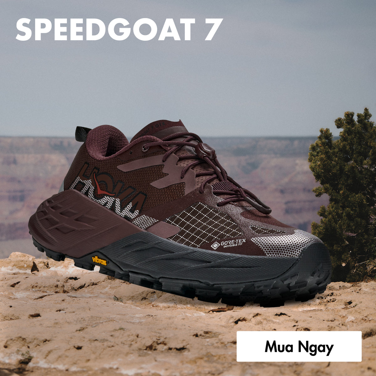 Hoka Vietnam